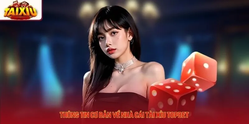 Thông tin cơ bản về nhà cái tài xỉu Topbet